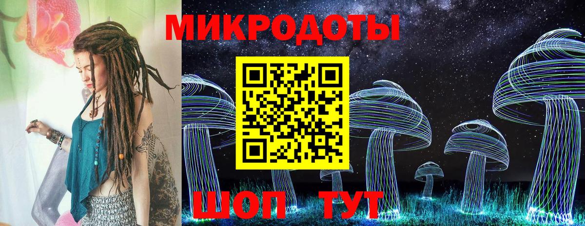 закладки  Вход с VPN  Осинники  Галлюциногенные грибы Cubensis 